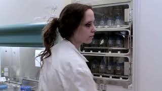 BioRep