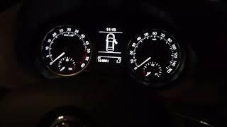 Skoda Rapid maxidot Cluster