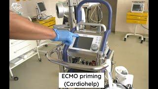 ECMO priming (Cardiohelp)