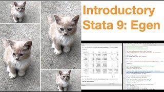 Introductory Stata 9: Extended generate (egen)