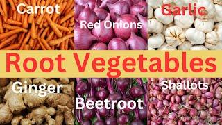 Root Vegetables 101 | Root Vegetable Names | List of Root Vegetables