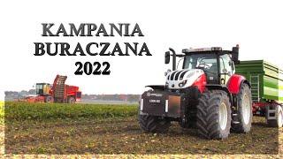 Kampania Buraczana 2022 | Holmer Klassiker | Steyr Absolut 6185 | Pronar T679M