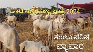 Ghati Subramanya cattle fair 2024 in full swing