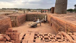 Comprehensive Red Bricks Production Process | How Red Bricks are Made in Traditional Coal Kiln