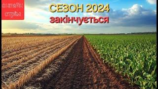 Урожай 2024 убран. Будем сеяться снова? Итоги и прогнозы. Вопросы и обсуждение