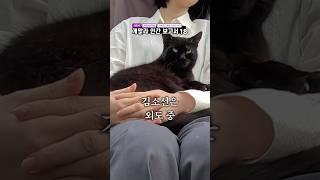 개말라 인간 보고서 [시즌10_18]사과&단감+갈비&냉면, 매실청, 크림치즈 빵 241023
