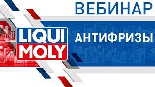 Антифризы LIQUI MOLY | Вебинар