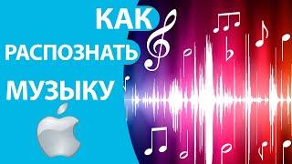 Как распознать МУЗЫКУ на Айфоне и узнать, какая песня играла!