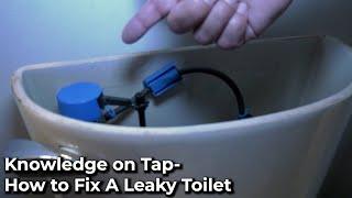 Knowledge on Tap- How to Diagnose a Leaky Toilet