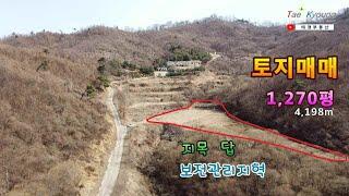 [청주시 토지매매]  충북 청주시 남이면 땅_보전관리지역 ▶ 1,270평/4,198㎡  [No. 태경21033]