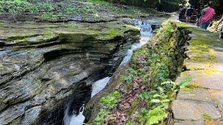 Watkins Glen State Park, NY