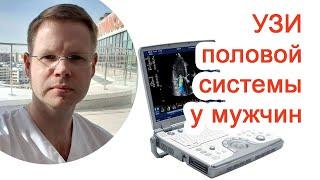 УЗИ половой системы у мужчин / Доктор Черепанов