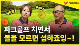 파크골프 치면서 볼을 모른다구요?(feat. 야광볼)