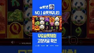 [슬롯 실시간] 판다 5,100만 그랜드 잭팟 터졌다!! 맥스윈 후기 슬롯넷, Pragmaticplay panda 2 Maxwin [프라그마틱][슬롯잭팟]