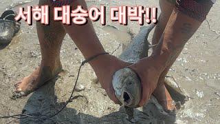 주말 짬투망 다녀오기! 대 숭어 한 마리 잡고 철수! #투망#서해바다#힐링#몸개그