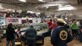 A Short Clip From The 2021 MEGA Poultry Show Auction In Norman OK!