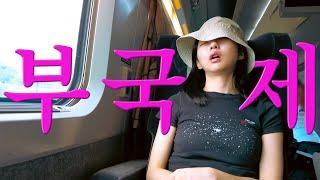뒷…부국제 Vlog I 광고주가 광고 모델 못 알아본 썰, 열차 출발 3분 전 도착, 날것 주혀녕이, 호텔방에서 혼맥, 보부상의 짐싸기, 드레스 피팅, 단발녕, 첫 레카