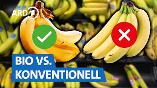 Bananen im Test 2025: Pestizide, Geschmack & Preis im Vergleich!  | Markt NDR