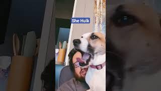 She Hulk #dog #hulksmash #mcu #review #64tacos