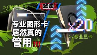 游戏玩家吵了10年的问题，终于有答案！RTX 3060 vs A3000L显卡对比【差评硬件部】