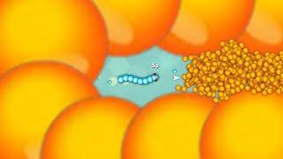 Snake.io Lovely Snake Sp Skill Epic Snake io android ios Gameplay!