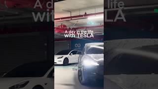 테슬라와 함께하는 라이프 브이로그 #테슬라#전기차충전#전기차#tesla