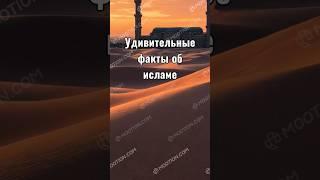 Удивительные факты об исламе