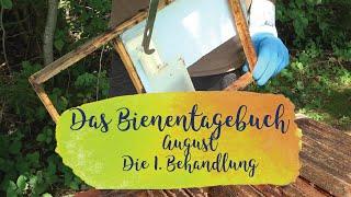 Die 1. Behandlung | Das Mellifera-Bienentagebuch | August