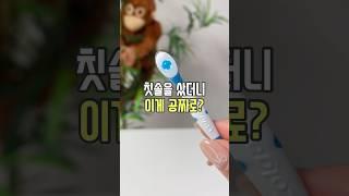 칫솔을 샀더니 이게 공짜?!  #리뷰몽키