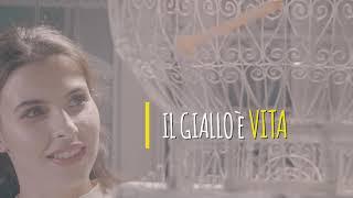 Avis Giallo - Dona il plasma