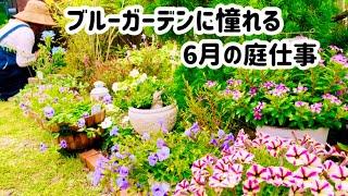 【ガーデニング】夏花壇ブルーガーデン作り可愛い過ぎるお花めぐりブルーのお花購入