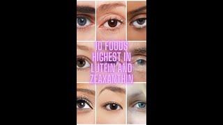 Top 10 Foods Highest in Lutein and Zeaxanthin