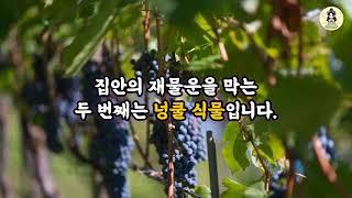 풍수요정님의 실시간 스트림