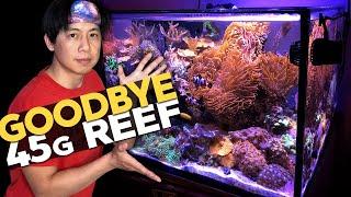 Breaking Down the 45g Reef!  + MIRACLE!!  (45g - 4/26/2020)