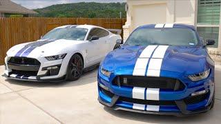 Shelby GT350 vs Shelby GT500 - Which One Is Right For You?