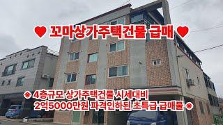 급매물과 경매직전 반값매매TV