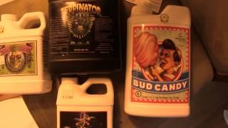 Grow Update 1000 Watts!