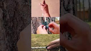 3 Prusik Knots in 1 Video  #knot #camping #outdoors #nature #survivalskills #bushcraft