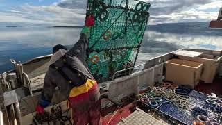 $14 000 After Few Hours Of Solo King Crab Fishing in Norway! Excellent catch