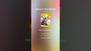 오빠 믿는거 알지! 힘내 영어 푸른설탕 music