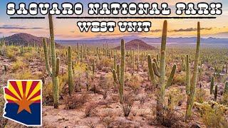 This National Park has the LARGEST Cactus in North America?! Saguaro NP | Arizona, USA (2024)