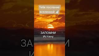 Принимай в комментариях с щедростью, БЛАГО ДАРЯ из любви к СЕБЕ  #жизнь #истина