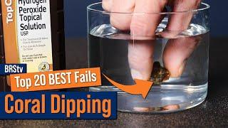 Top Coral Dipping Mistakes! Don't Try These At Home With Your Reef Tank Corals.