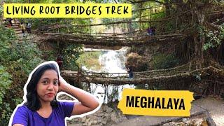 Meghalaya in Winters?  Cherrapunji & Mawlynnong | Anabhi Vlogs | Travel Vlog | Anagha Mirgal