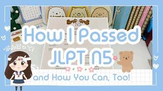 How to Pass JLPT N5 (Japanese Self-Study Tips + Resources) 