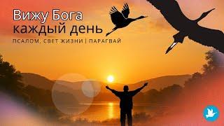 Свет жизни | Парагвай - Вижу Бога каждый день (Luz de la Vida - PY)