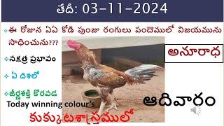 03 Nov 24 Today winning colours / Today winning colours/ vision of kukkuta sastram in colours update