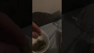 ASMR Pickle Eating Sweet and Hot 