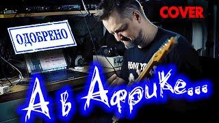  А в Африке!  COVER ‼️ОФИЦИАЛЬНО‼️