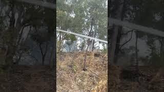 Burn off's at Albany Creek nature reserve  part 2